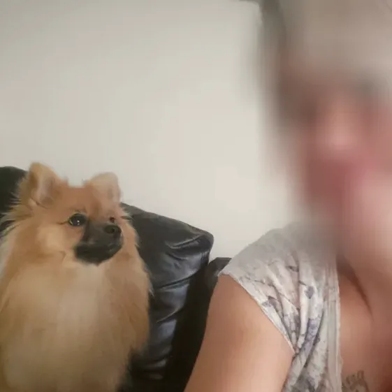 Liva, 40